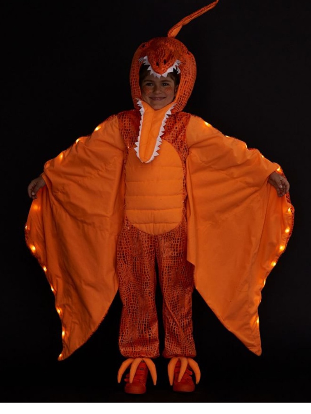 Pottery Barn Kids Light-Up Pterodactyl Halloween Costume 4-6yr
